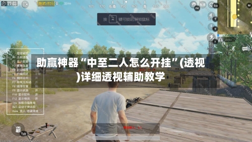 助赢神器“中至二人怎么开挂”(透视)详细透视辅助教学-第1张图片