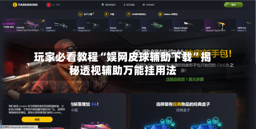 玩家必看教程“娱网皮球辅助下载”揭秘透视辅助万能挂用法-第1张图片
