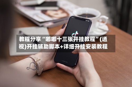 教程分享“嘟嘟十三张开挂教程”(透视)开挂辅助脚本+详细开挂安装教程-第1张图片