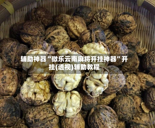 辅助神器“微乐云南麻将开挂神器”开挂(透视)辅助教程-第1张图片