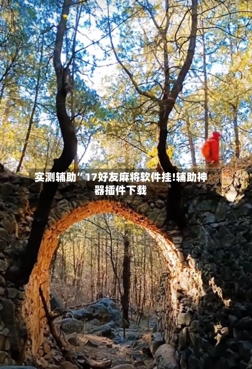 实测辅助”17好友麻将软件挂!辅助神器插件下载-第1张图片