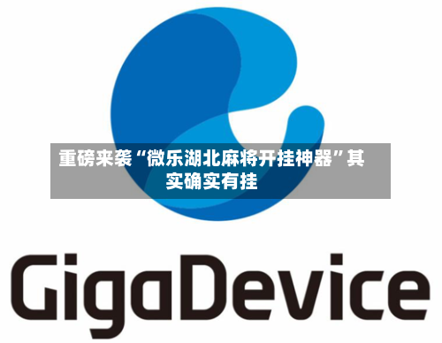 重磅来袭“微乐湖北麻将开挂神器”其实确实有挂-第1张图片
