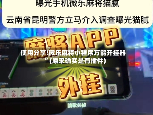 使用分享!微乐麻将小程序万能开挂器”(原来确实是有插件)-第1张图片