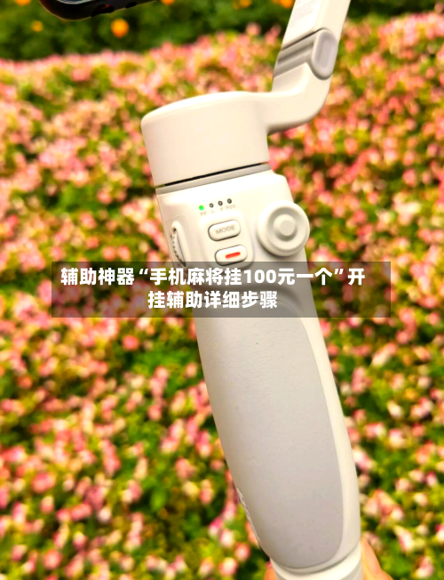 辅助神器“手机麻将挂100元一个”开挂辅助详细步骤-第1张图片