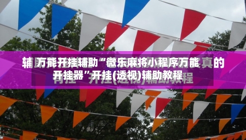 万能开挂辅助“微乐麻将小程序万能开挂器”开挂(透视)辅助教程-第1张图片