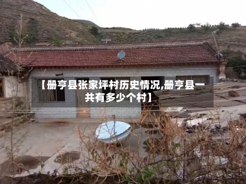 【册亨县张家坪村历史情况,册亨县一共有多少个村】-第1张图片