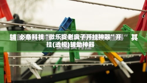 必备科技“微乐捉老麻子开挂神器	”开挂(透视)辅助神器-第1张图片
