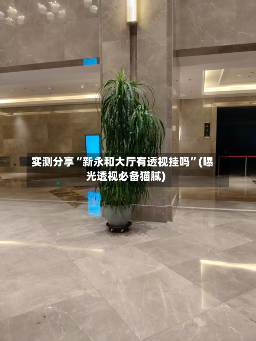 实测分享“新永和大厅有透视挂吗	”(曝光透视必备猫腻)-第1张图片