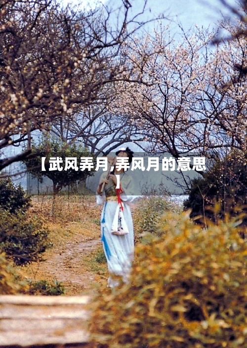 【武风弄月,弄风月的意思】-第1张图片