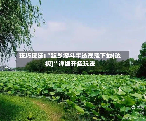 技巧玩法:“越乡游斗牛透视挂下载(透视)”详细开挂玩法-第1张图片
