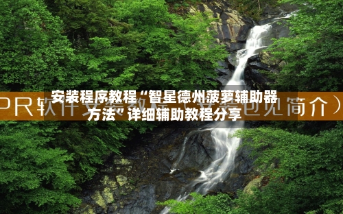 安装程序教程“智星德州菠萝辅助器方法”详细辅助教程分享-第1张图片