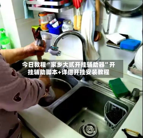 今日教程“家乡大贰开挂辅助器”开挂辅助脚本+详细开挂安装教程-第1张图片