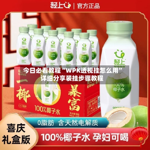 今日必看教程“WPK透视挂怎么用”详细分享装挂步骤教程-第1张图片