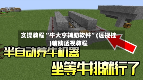 实操教程“牛大亨辅助软件”(透视挂)辅助透视教程-第1张图片