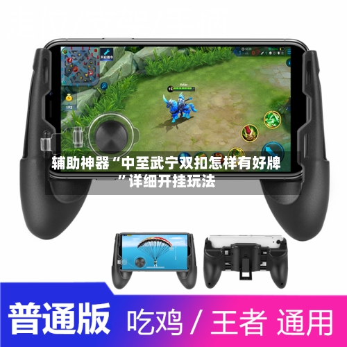 辅助神器“中至武宁双扣怎样有好牌”详细开挂玩法-第1张图片