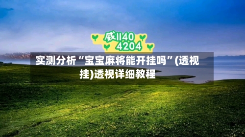 实测分析“宝宝麻将能开挂吗”(透视挂)透视详细教程-第1张图片