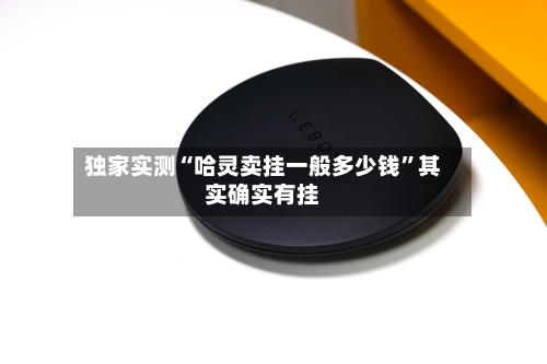 独家实测“哈灵卖挂一般多少钱	”其实确实有挂-第1张图片