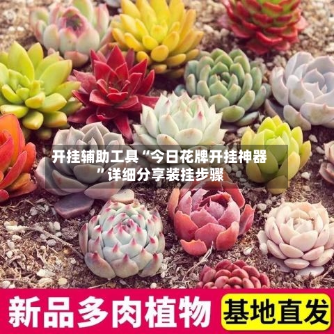 开挂辅助工具“今日花牌开挂神器	”详细分享装挂步骤-第1张图片