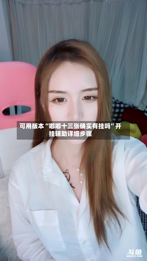 可用版本“嘟嘟十三张确实有挂吗”开挂辅助详细步骤-第1张图片