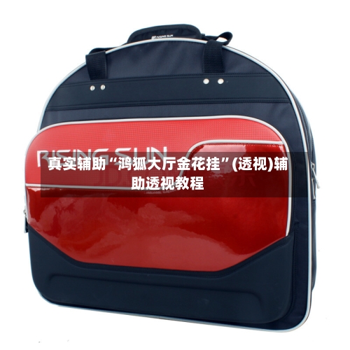真实辅助“鸿狐大厅金花挂”(透视)辅助透视教程-第1张图片