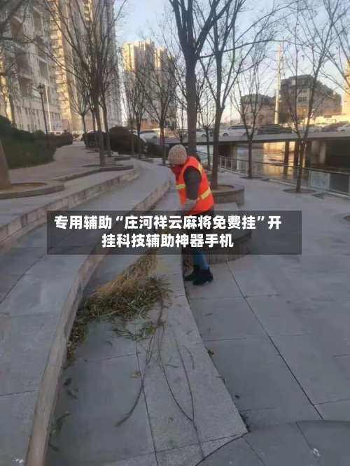 专用辅助“庄河祥云麻将免费挂”开挂科技辅助神器手机-第1张图片