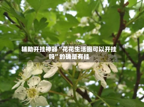 辅助开挂神器“花花生活圈可以开挂吗	”的确是有挂-第1张图片