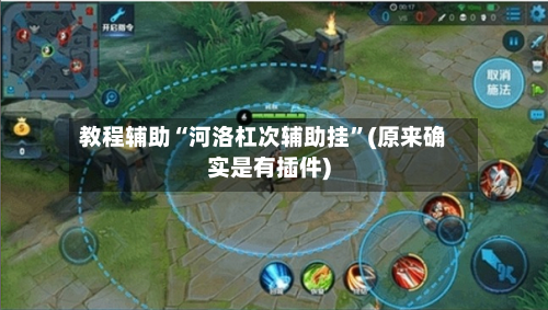 教程辅助“河洛杠次辅助挂	”(原来确实是有插件)-第1张图片