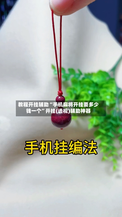 教程开挂辅助“手机麻将开挂要多少钱一个”开挂(透视)辅助神器-第1张图片