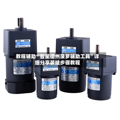 教程辅助“智星德州菠萝辅助工具”详细分享装挂步骤教程-第1张图片