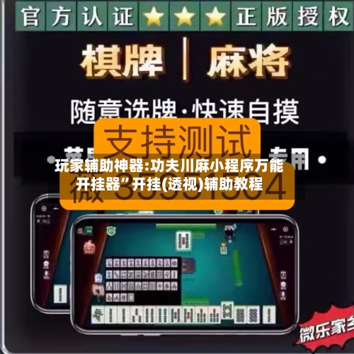 玩家辅助神器:功夫川麻小程序万能开挂器	”开挂(透视)辅助教程-第1张图片
