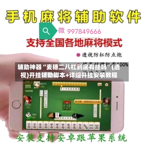 辅助神器“麦穗二八杠到底有挂吗	”(透视)开挂辅助脚本+详细开挂安装教程-第1张图片