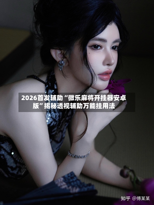 2026首发辅助“微乐麻将开挂器安卓版”揭秘透视辅助万能挂用法-第1张图片