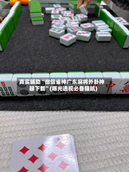 真实辅助“微信雀神广东麻将外卦神器下载”(曝光透视必备猫腻)-第1张图片
