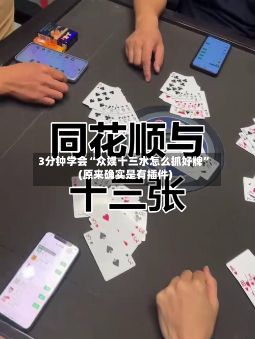 3分钟学会“众娱十三水怎么抓好牌”(原来确实是有插件)-第1张图片