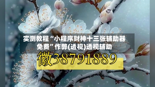实测教程“小程序财神十三张辅助器免费”作弊(透视)透视辅助-第1张图片
