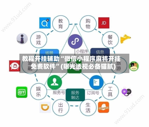 教程开挂辅助“微信小程序麻将开挂免费软件”(曝光透视必备猫腻)-第1张图片