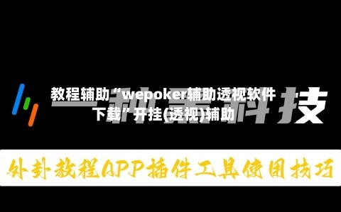 教程辅助“wepoker辅助透视软件下载”开挂(透视)辅助-第1张图片