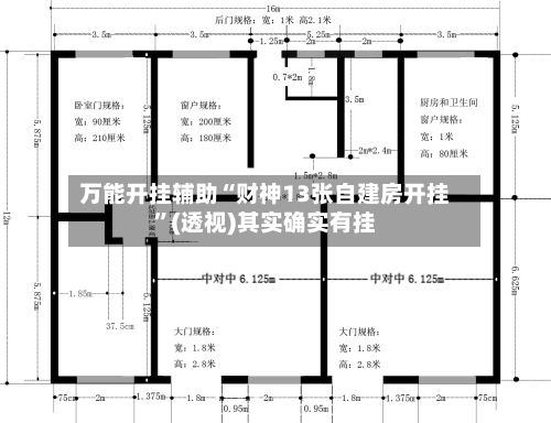 万能开挂辅助“财神13张自建房开挂	”(透视)其实确实有挂-第1张图片