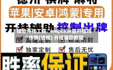 辅助开挂工具“wepoker能开挂吗”作弊(透视) 开挂辅助教程-第1张图片