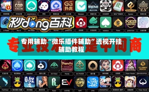 专用辅助“微乐插件辅助”透视开挂辅助教程-第1张图片