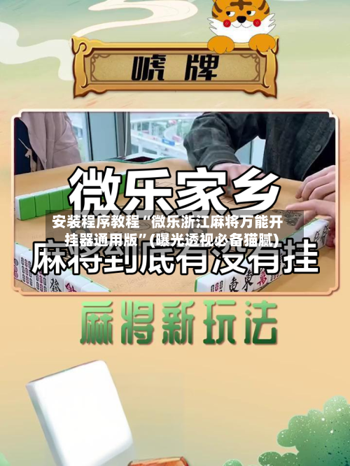安装程序教程“微乐浙江麻将万能开挂器通用版”(曝光透视必备猫腻)-第1张图片