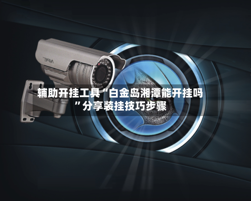 辅助开挂工具“白金岛湘潭能开挂吗	”分享装挂技巧步骤-第1张图片