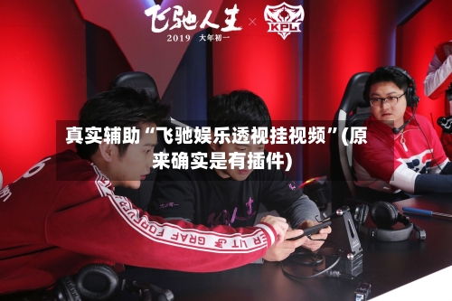 真实辅助“飞驰娱乐透视挂视频”(原来确实是有插件)-第1张图片