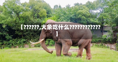 【??????,大象吃什么????????????】-第1张图片