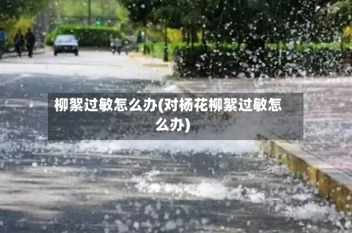 柳絮过敏怎么办(对杨花柳絮过敏怎么办)-第1张图片