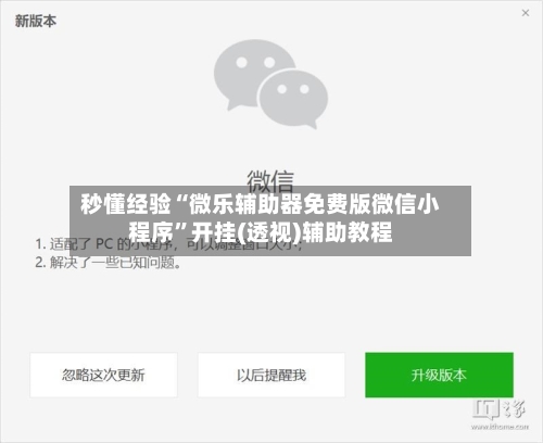 秒懂经验“微乐辅助器免费版微信小程序”开挂(透视)辅助教程-第1张图片