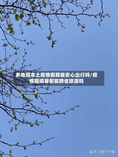 多地现本土疫情假期能安心出行吗/疫情期间暑假能跨省旅游吗-第1张图片