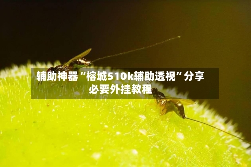 辅助神器“榕城510k辅助透视”分享必要外挂教程-第1张图片