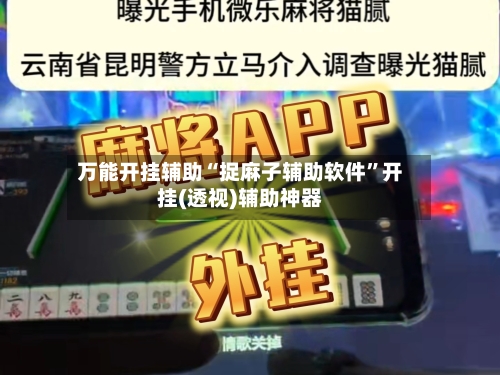 万能开挂辅助“捉麻子辅助软件”开挂(透视)辅助神器-第1张图片