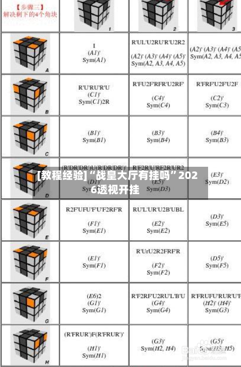 [教程经验]“战皇大厅有挂吗”2026透视开挂-第1张图片